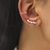 Wholesale Jewelry Fashion Geometric Alloy No Inlaid Plating Earrings sku image 3