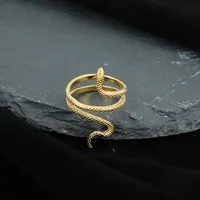 Retro Animal Snake 304 Stainless Steel Plating Unisex Rings main image 2