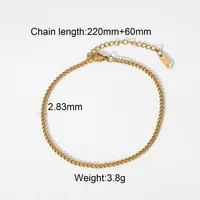 Simple Style Geometric 304 Stainless Steel Anklet Necklace In Bulk main image 4