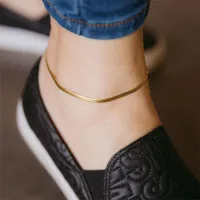 Wholesale Jewelry Simple Snake Bone Chain Stainless Steel Anklet Nihaowholesale main image 4