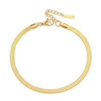 Wholesale Jewelry Simple Snake Bone Chain Stainless Steel Anklet Nihaowholesale main image 5