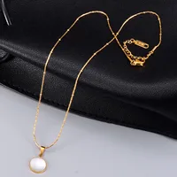 Wholesale Jewelry Heart 304 Stainless Steel Titanium Steel Shell 18K Gold Plated Inlaid Gold Necklace main image 5