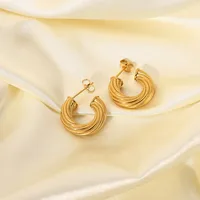 Plating 316 Stainless Steel  No Inlaid Earrings main image 1