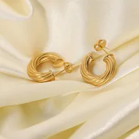 Plating 316 Stainless Steel  No Inlaid Earrings main image 2