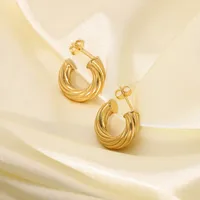 Plating 316 Stainless Steel  No Inlaid Earrings main image 3