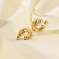 Plating 316 Stainless Steel  No Inlaid Earrings main image 4