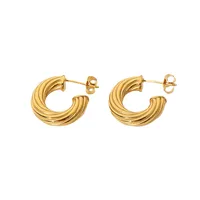 Plating 316 Stainless Steel  No Inlaid Earrings main image 5