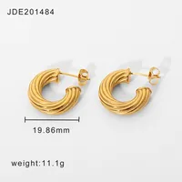 Plating 316 Stainless Steel  No Inlaid Earrings sku image 1