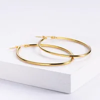 Simple Style Heart Plating Stainless Steel No Inlaid 18K Gold Plated Earrings main image 3