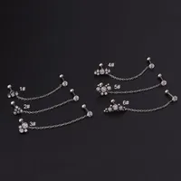 Ear Cartilage Rings & Studs Fashion Printing 316 Stainless Steel  Artificial Gemstones main image 2