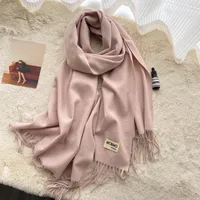 Soft Imitation Cashmere Scarf Women's Autumn And Winter Korean Style New Warm Couple Scarf Cold-proof Outer Long Shawl sku image 13