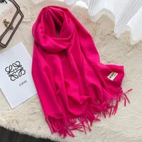 Soft Imitation Cashmere Scarf Women's Autumn And Winter Korean Style New Warm Couple Scarf Cold-proof Outer Long Shawl sku image 25