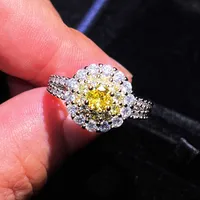 Pink Crystal Set Earrings Ring Necklace Retro Exquisite Zircon Earrings Pendant Special-interest Design Simple Ring sku image 3