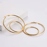 Simple Style Geometric Plating Stainless Steel No Inlaid 18K Gold Plated Earrings main image 2