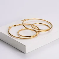 Simple Style Geometric Plating Stainless Steel No Inlaid 18K Gold Plated Earrings main image 4