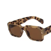 Cross-border European And American Large Frame Mi Nail Sunglasses  New Personalized Polygon Ins Simple Vintage Sunglasses Trend main image 2