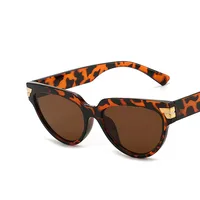 Triangular Cat-eye Sunglasses Wholesale Nihaowholesale main image 4