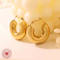 Retro Printing Plating 304 Stainless Steel No Inlaid 18K Gold Plated Earrings main image 3