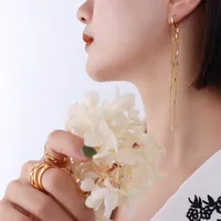 Simple Fashion Long Tassel Titanium Steel Ear Jewelry main image 4