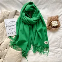 Soft Imitation Cashmere Scarf Women's Autumn And Winter Korean Style New Warm Couple Scarf Cold-proof Outer Long Shawl sku image 28