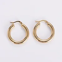 Simple Style Geometric Polishing Stainless Steel No Inlaid 18K Gold Plated Earrings sku image 1