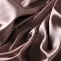 Women's Streetwear Solid Color Satin Winter Scarves main image 2