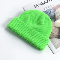 Unisex Simple Style Solid Color Crimping Wool Cap sku image 11