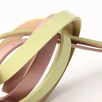 Casual Solid Color Pu Leather Alloy Plating Women's Leather Belts 1 Piece main image 2