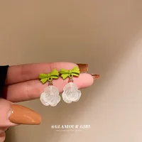 Fashion Irregular Transparent Acrylic Earrings Wholesale sku image 20