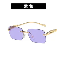 Cheetah Decoration Sunglasses  New Frameless Square Retro Leopard Metal Sunglasses sku image 7