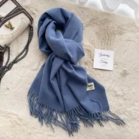 Soft Imitation Cashmere Scarf Women's Autumn And Winter Korean Style New Warm Couple Scarf Cold-proof Outer Long Shawl sku image 12