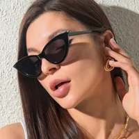 New Fashion Small Frame Cat Eye Sunglasses Female main image 1