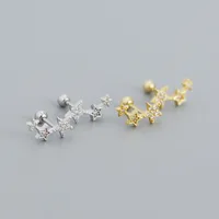 Sweet Star Sterling Silver Ear Studs Plating Zircon 925 Silver Earrings main image 4
