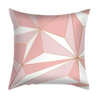 Elegant Geometric Fibre Peach Skin Pillow Cases main image 2