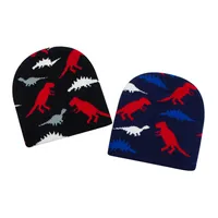 Children Unisex Simple Style Dinosaur Crochet Lace Wool Cap main image 2