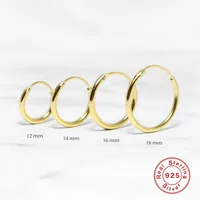 1 Pair 925 Sterling Silver Geometric Hoop Earrings main image 1