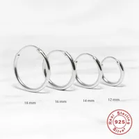 1 Pair 925 Sterling Silver Geometric Hoop Earrings main image 4