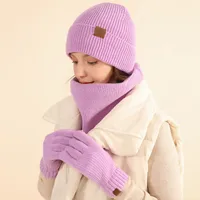 Women's Simple Style Solid Color Polyester Acrylic 3 Pieces Set main image 1