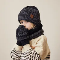 Women's Elegant Basic Solid Color Rib-knit Wool Cap main image 5