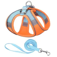 Simple Style Polyester Color Block Grid Leash main image 1
