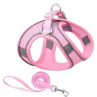 Simple Style Polyester Color Block Grid Leash main image 5