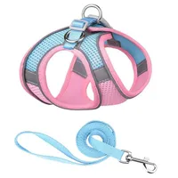 Simple Style Polyester Color Block Grid Leash main image 4