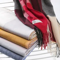 Women's Casual Simple Style Color Block Imitation Cashmere Tassel Scarf main image 2