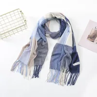 Women's Casual Simple Style Color Block Imitation Cashmere Tassel Scarf main image 4