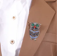 Vintage Style Owl Alloy Inlay Rhinestones Women's Brooches 1 Piece main image 2
