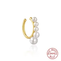 1 Piece 925 Sterling Silver Solid Color Earrings main image 1
