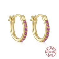 1 Pair 925 Sterling Silver Zircon Round Hoop Earrings sku image 3