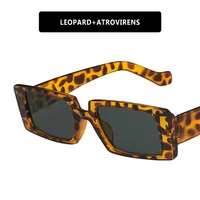 Retro Fashion Women's Sunglasses sku image 3