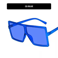 Hot Sale Retro Big Frame Sunglasses New Street Shooting Trend Sunglasses Frame Metal Hinge Wholesale Nihaowholesale sku image 4