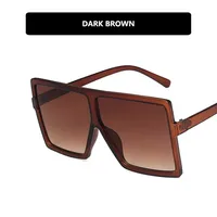 Hot Sale Retro Big Frame Sunglasses New Street Shooting Trend Sunglasses Frame Metal Hinge Wholesale Nihaowholesale sku image 14